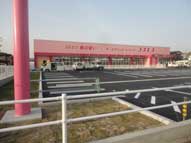 熊本県,ドラッグストア,テナントサイン