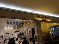 多店舗,飲食店舗,内装,カルプ切文字