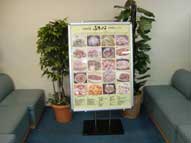 飲食店舗,スタンドサイン