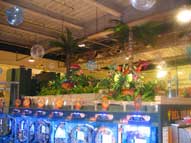 南国,アイランド,イメージ,やしの木,スチロース造形